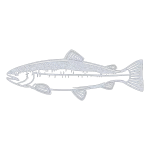 A detailed aluminum wall art piece of a salmon with an inverted skin pattern, shown in profile. The metallic sheen contrasts against a black background.